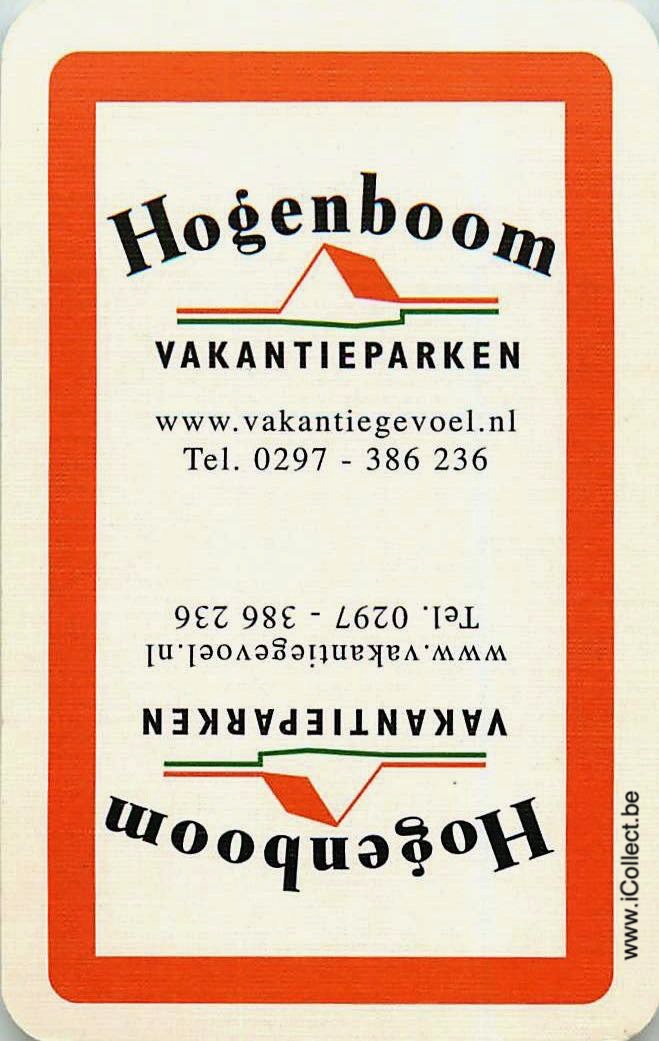 Single Swap Playing Cards Travel Hogen Boom (PS08-30B)